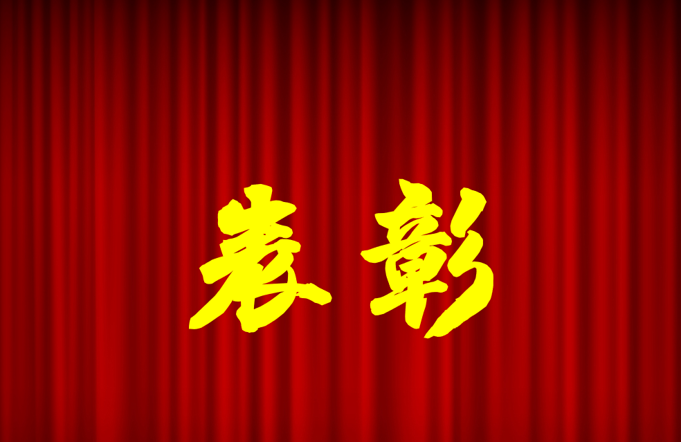 逐光前行、榮耀共鑒 | 公司2024年度表彰來啦！